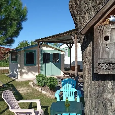 Mobil Avec Terrasse A - Api-1-52-692 Campeggio *